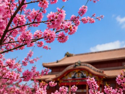 沖縄 春のアクティビティ